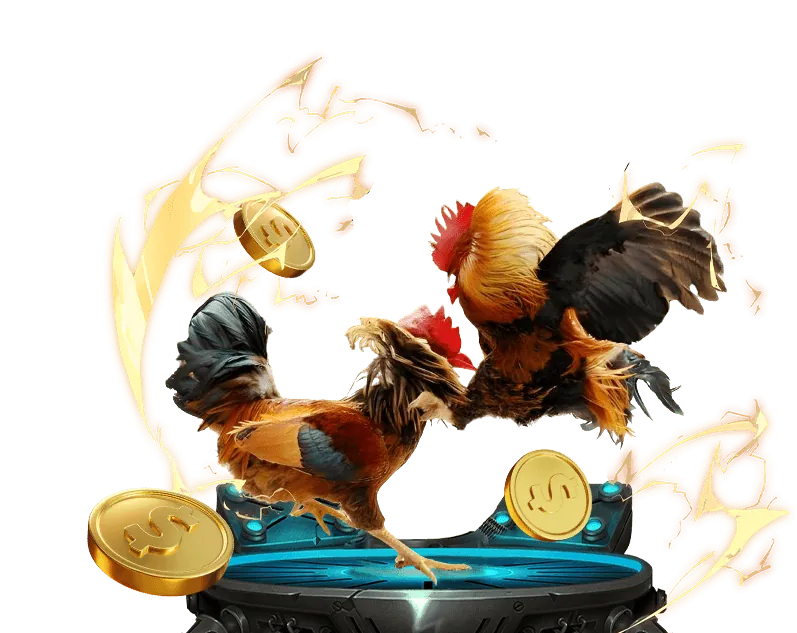 Chuyên gia phân tích gà đá trước trận đấu